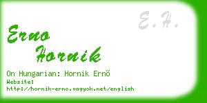 erno hornik business card